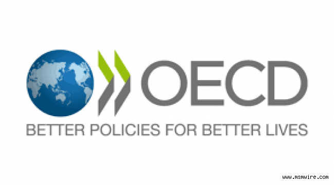 OECD: Türkiye’de Yatırımcı Güveninin Yeniden Tesis Edilmesi Önemli