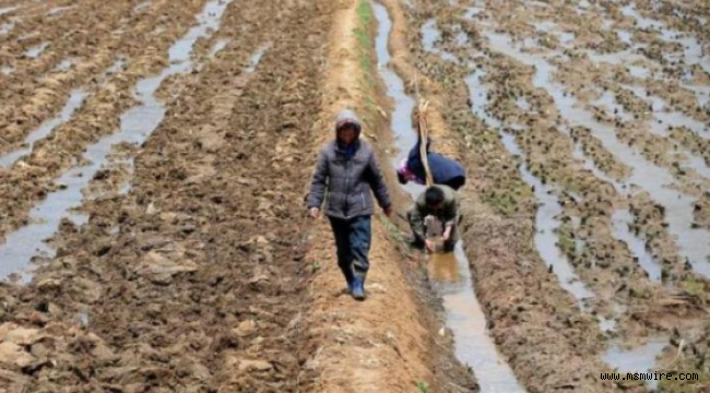 Kişi başı günlük gıda alımı 300 Gram’la sınırlı: Kuzey Kore 