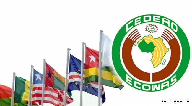 Üye ülkeler ortak para birimine gidiyor: ECOWAS 